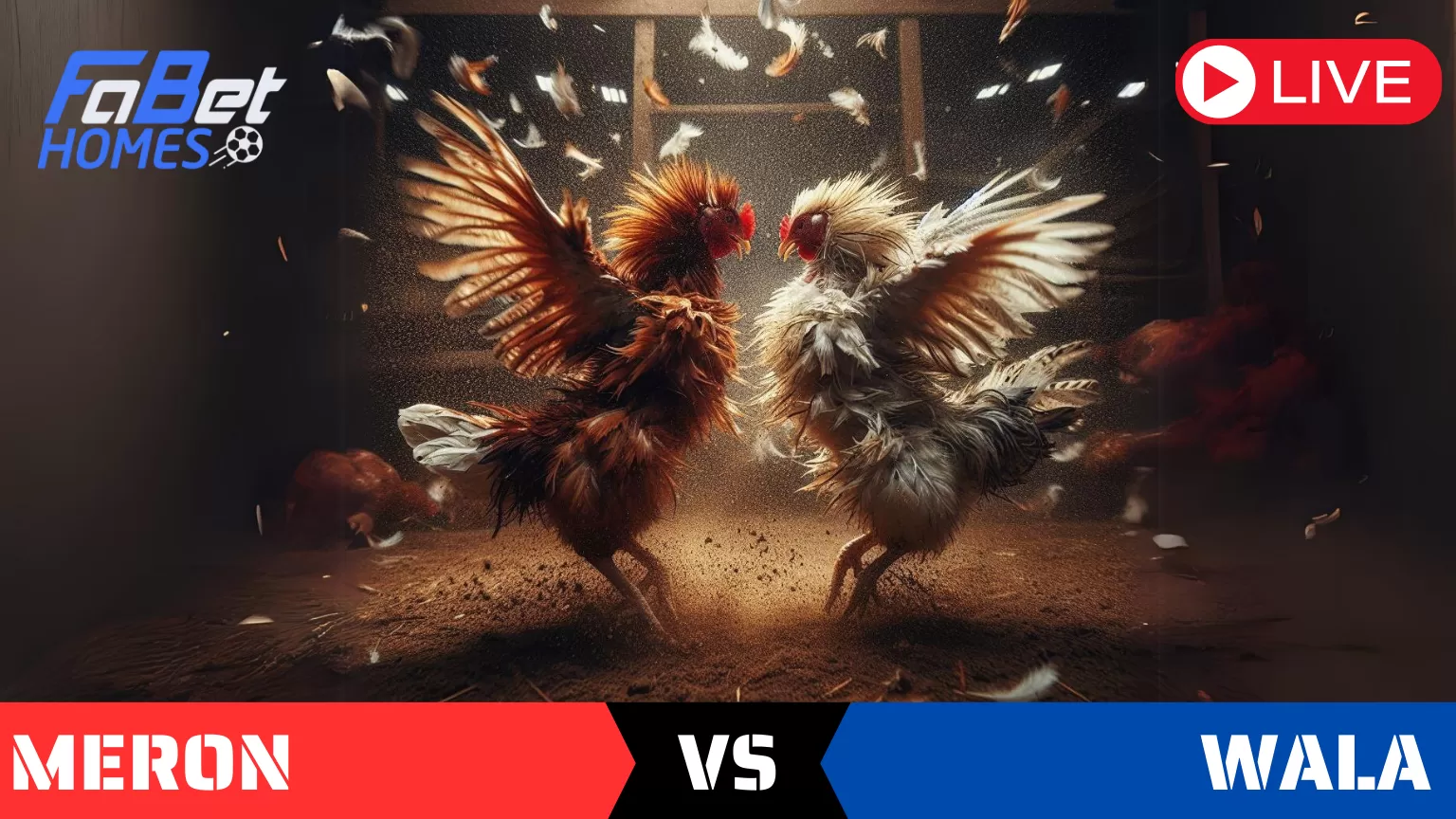Đá gà trực tuyến tại Fabet: Meron vs Wala